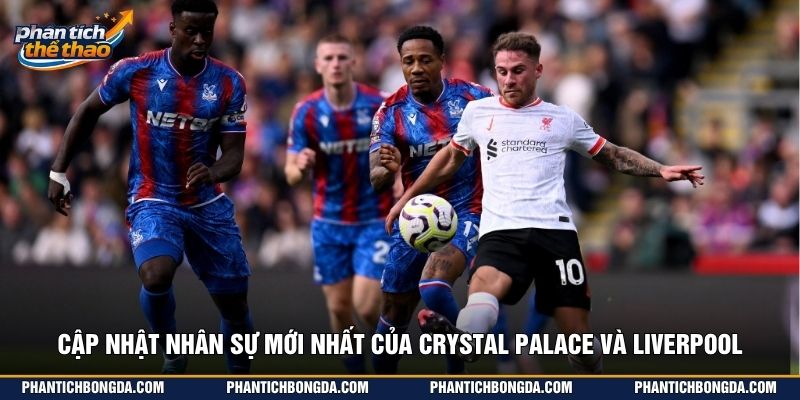 Cập nhật nhân sự mới nhất của Crystal Palace và Liverpool