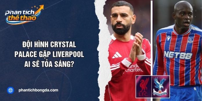 Đội Hình Crystal Palace Gặp Liverpool - Ai Sẽ Tỏa Sáng?