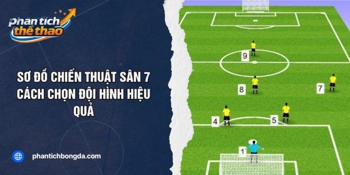 Sơ Đồ Chiến Thuật Sân 7: Cách Chọn Đội Hình Hiệu Quả